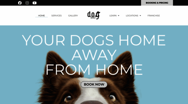 doghotels.com