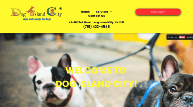 dogislandcity.com