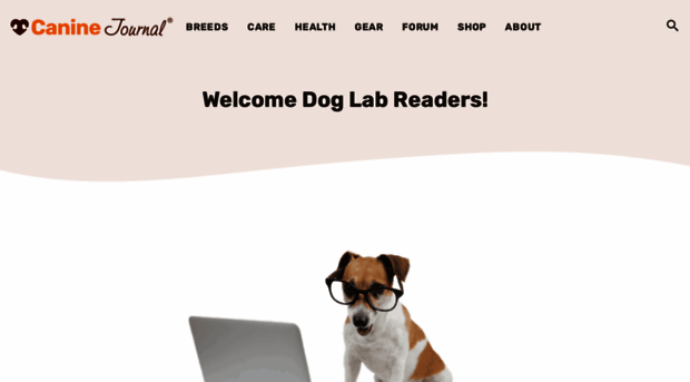 doglab.com