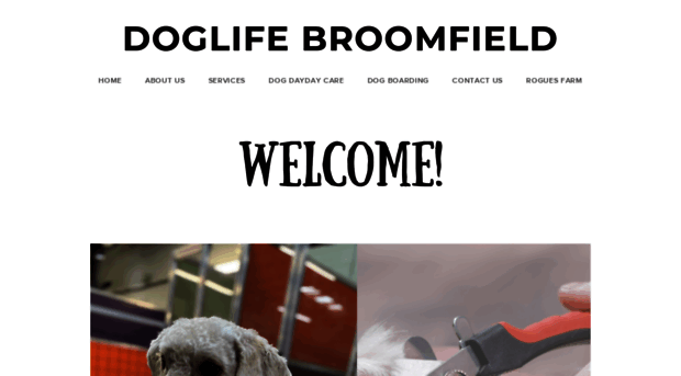 doglifebroomfield.com