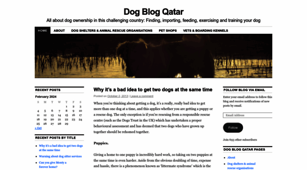 doglifeqatar.wordpress.com