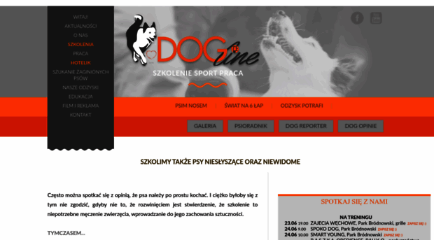 dogline.pl
