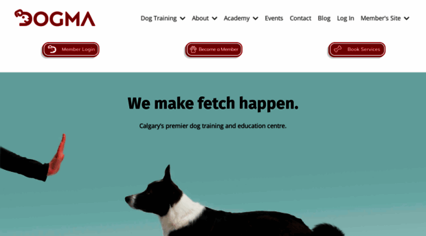 dogmatraining.com