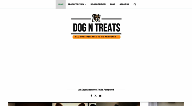 dogntreats.com