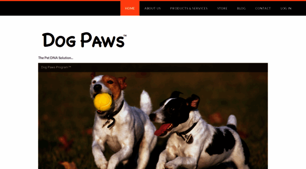 dogpaws.com