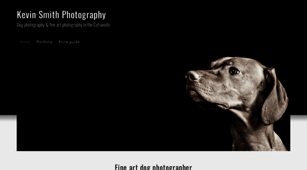 dogphotog.co.uk