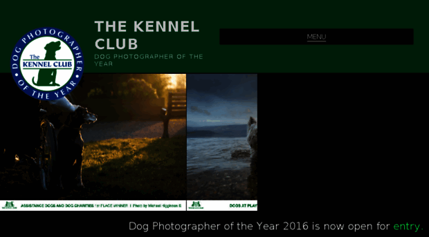 dogphotographeroftheyear.org.uk