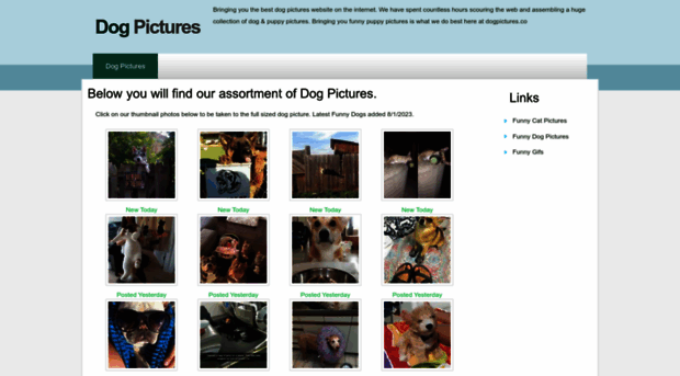 dogpictures.co