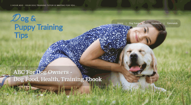 dogpuppytrainingtips.com