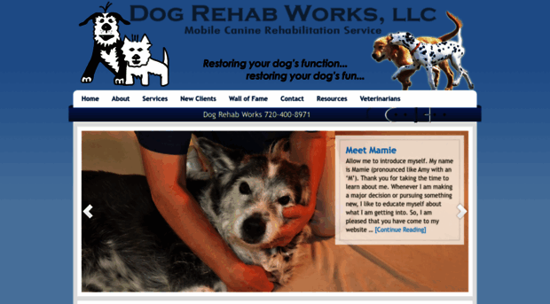 dogrehabworks.com