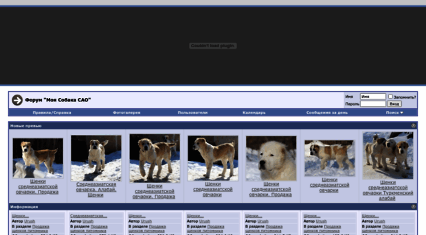 dogs-forum.ru