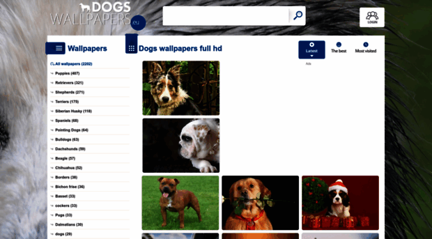 dogs-wallpapers.eu