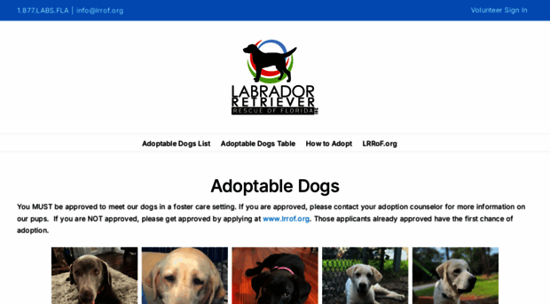 dogs.lrrof.org