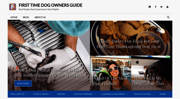 dogs.thefuntimesguide.com