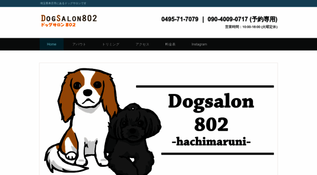 dogsalon802.com