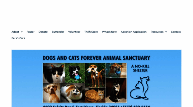 dogsandcatsforever.com