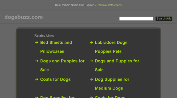 dogsbuzz.com