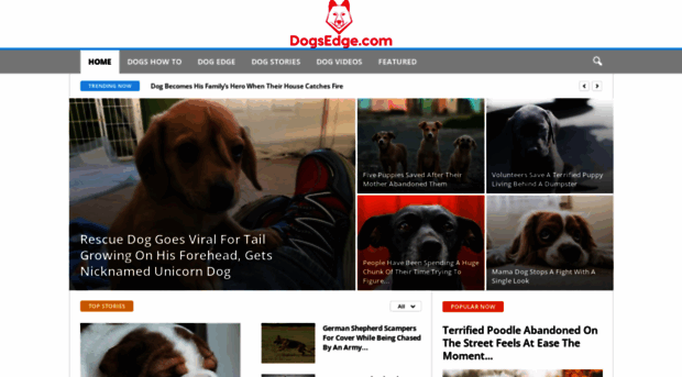 dogsedge.com