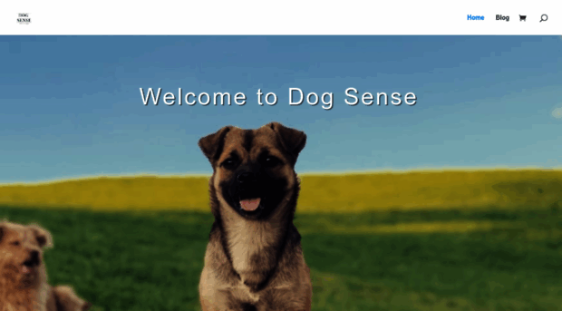 dogsense.co.nz