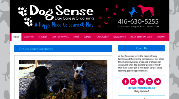 dogsensedaycare.com