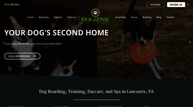 dogsensepa.com