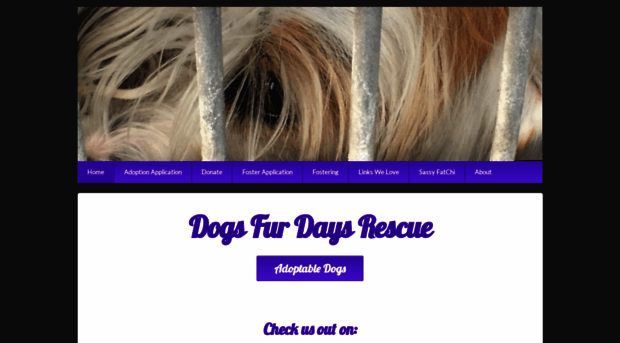 dogsfurdays.org