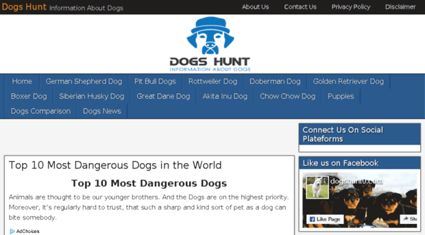 dogshunt.com
