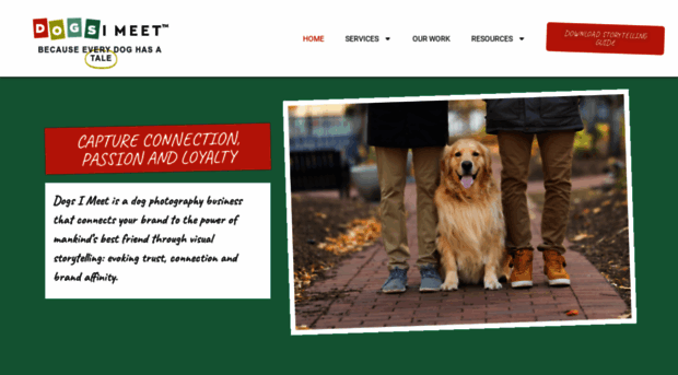 dogsimeet.com