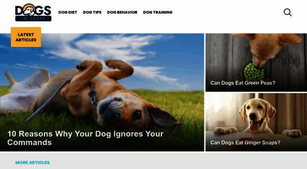 dogsnstuff.net