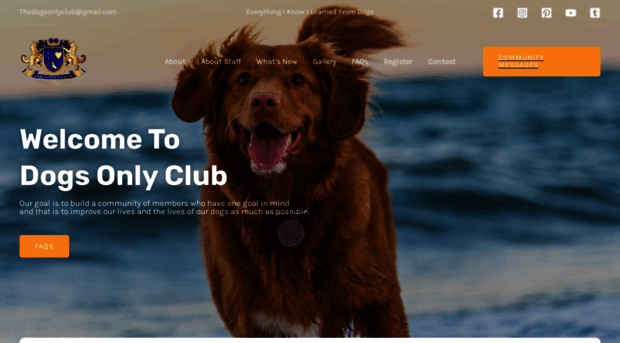 dogsonlyclub.com