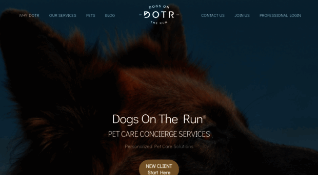 dogsontherun.com