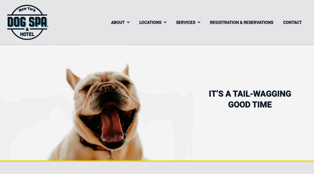 dogspa.com