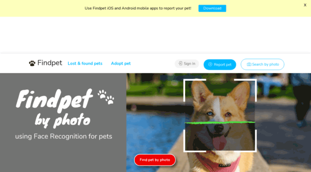 dogsperts.com