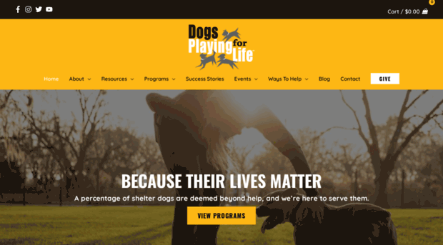 dogsplayingforlife.com