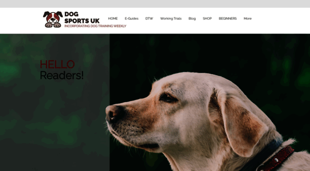 dogsportsuk.com