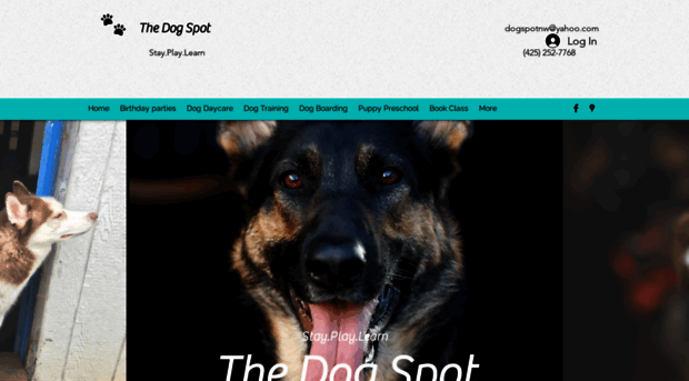 dogspotnw.com