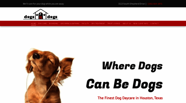 dogsrdogsdaycare.com