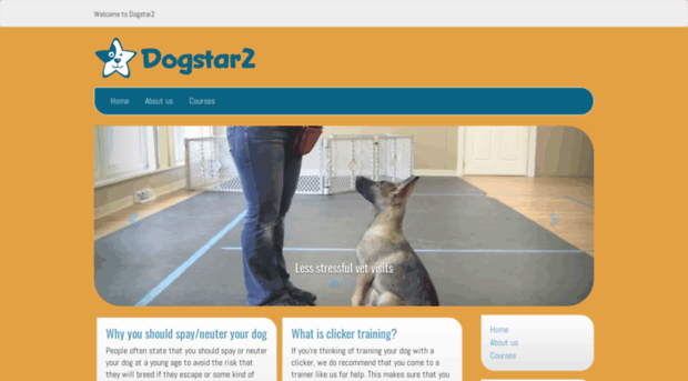 dogstar2.com