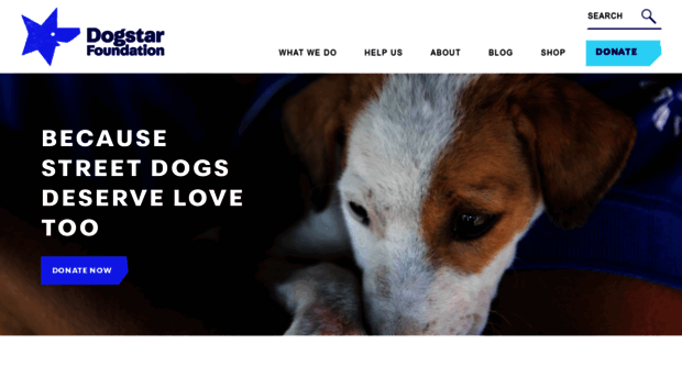 dogstarfoundation.com