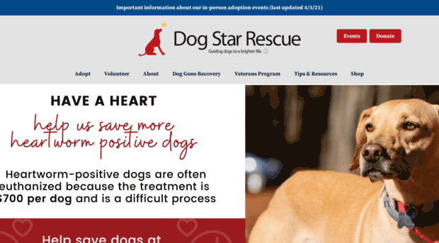 dogstarrescue.org