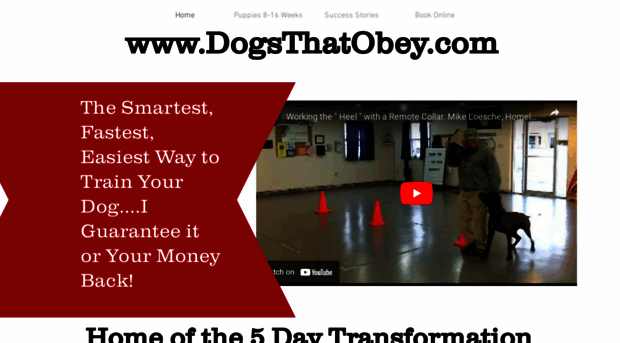 dogsthatobey.com