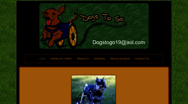 dogstogo.net