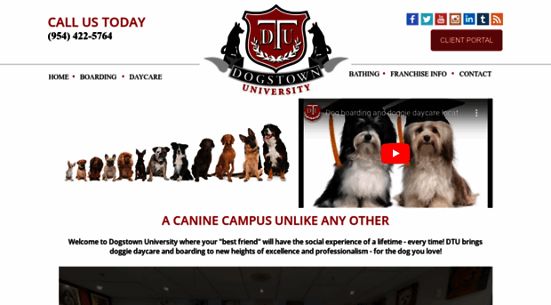 dogstownuniversityinc.com