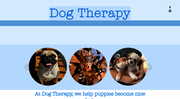 dogtherapyboston.com