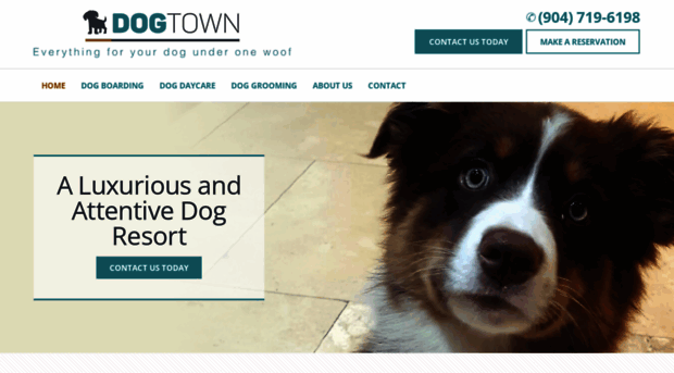 dogtown-resorts.com