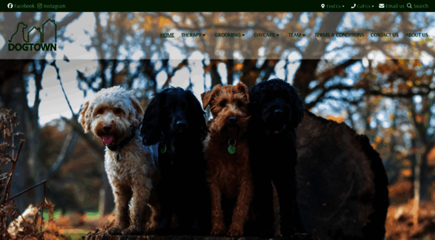 dogtown.uk.com