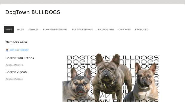 dogtownbulldogs.com