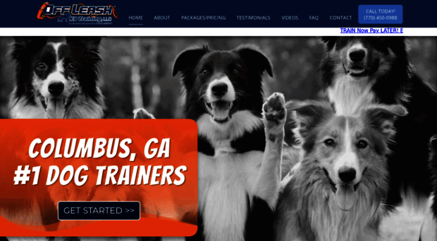 dogtrainercolumbusga.com