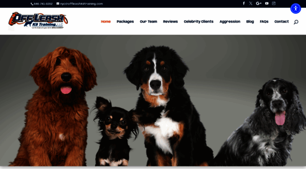 dogtrainermanhattan.com