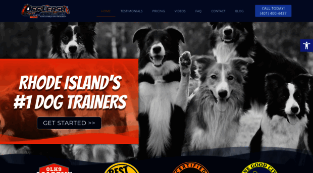 dogtrainerprovidence.com
